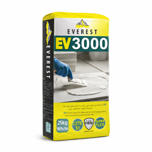 EV 3000