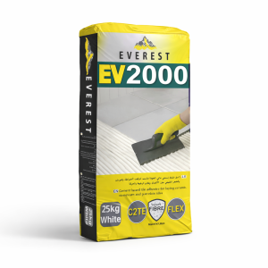 EV 2000